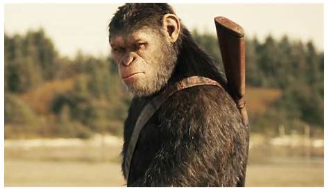 First War For The Of The Apes Clip Shows Caesar