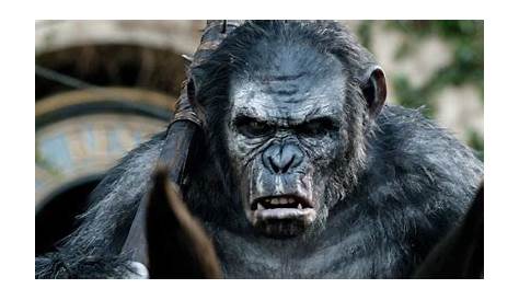 Planet Of The Apes Cast 2012 10 'Fresh' Movies That Are Totally Overrated Digital Trends
