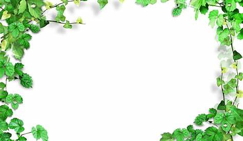Plants Tropical Jungle Leaves Border Frame Ftestickers - Tropical