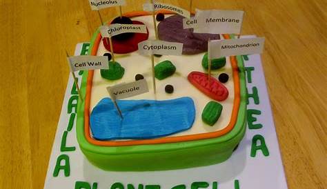 Plant Cell Model With Clay Animal Made ling Sites For Science