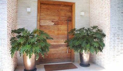 Cómo decorar la entrada de la casa con plantas | Jardineria On