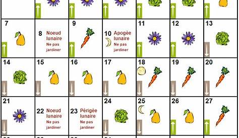 Jours racines 2023 🌱 : dates et calendrier lunaire 2023 pour le jardin