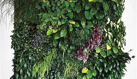 Een plantenmuur kan niet ontbreken in je natuurlijke interieur. Dit