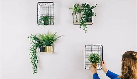 Tuin idee: verticaal tuinieren met een plantenrek van gaas