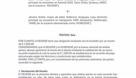 Modelo de Contrato de Dacion en Pago | Pagos | Gobierno