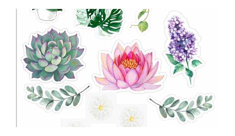 Stickers de plantas | Arte vegetal, Ilustración planta, Regalar plantas