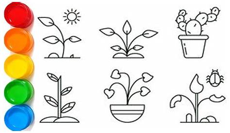 Plants Drawing For Kids Easy Flower s Paijo Network Flower