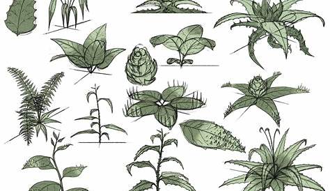 Plants Drawing Reference 33ca21802e9b865701fba9d7717fc630.gif (3088×2920) Plant