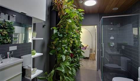 Plants In Shower Ideas