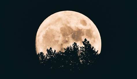 Les 8 signes du zodiaque les plus et moins affectés par la pleine lune