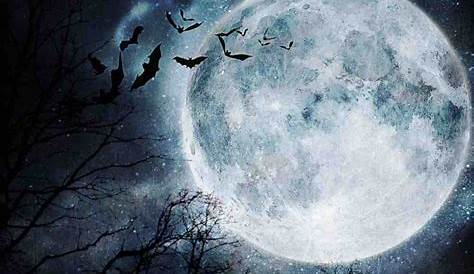 Pleine Lune du 9 mars - Astrophotographie - Astrosurf