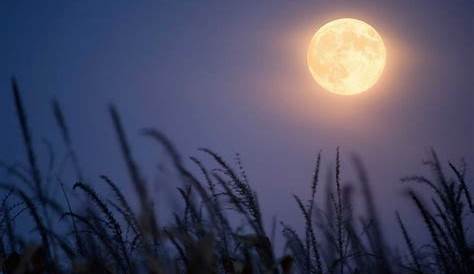 L’image du mois de juin 2011 : la Pleine Lune – Société d'Astronomie