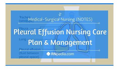Pleural Effusion Nursing Diagnosis & Care Plan RNlessons (2022)