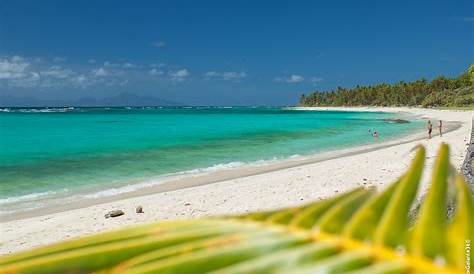 Marie Galante - plage de Grand Bourg | La plage du club de p… | Flickr