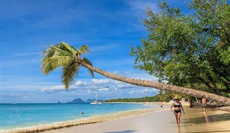 Plus belles plages de la Martinique : découvrez ce paradis caribéen