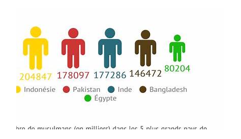 Quel est le plus grand pays musulman du monde (population)