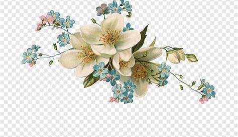 Блог Колибри: PNG Клипарт "Vintage flowers"