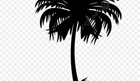 Gambar Pokok Kelapa Kartun Hitam Putih : Siluet Pohon Kelapa Coco Hitam