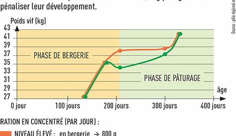 à quoi ressemble un mouton - Diffusonslascience