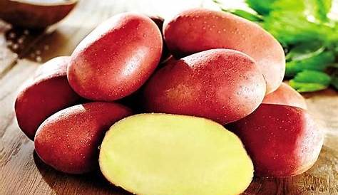 Pommes De Terre Rosabelle - Pourdebon