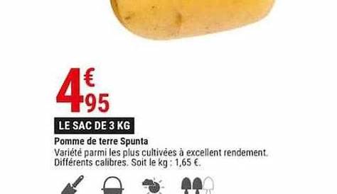 Pomme de terre nouvelle 500 g – La Boutique des Jardins de la Moisenais