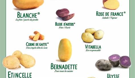 Pomme de terre Amandine - Vente en ligne au meilleur prix
