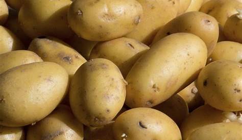 Pommes de terre Vitabella Légumes Eghezée Fernelmont