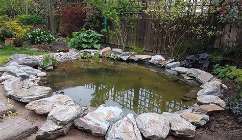 Pond Edging Ideas 100 Backyard To Inspire Your Garden Transformation Page 2 Of 2