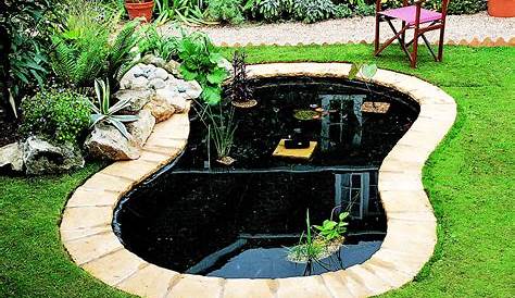 Pond Edging Ideas Pictures Information On How To Build A Small In Your Garden