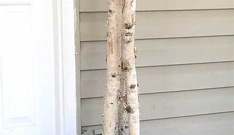Porch Pots With Birch