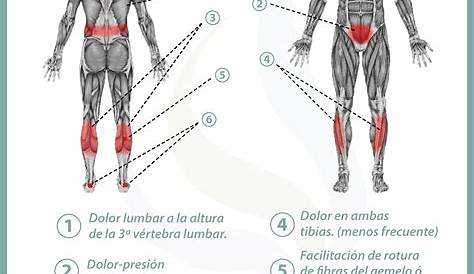 ¿Por qué me duele la espalda? #infografia #infographic #health - TICs y