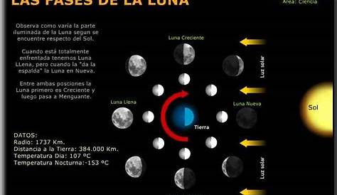 8 fases de la Luna | El Mundo y su Historia