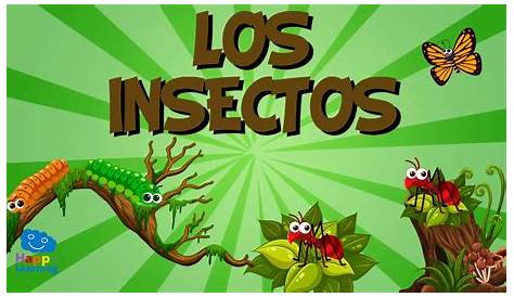 Insectos — WikiSabio