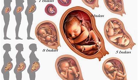 Posisi Bayi Melintang, Bisakah Berubah Jelang Kelahiran?