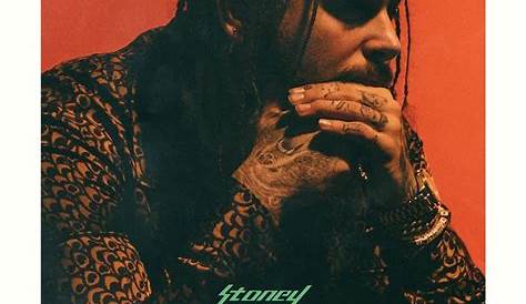 Post Malone music album cover Canvas poster | Etsy
