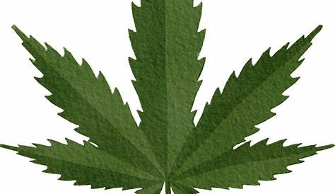 Download HD Weed Marijuana Leaf Transparent - Transparent Pot Leaf