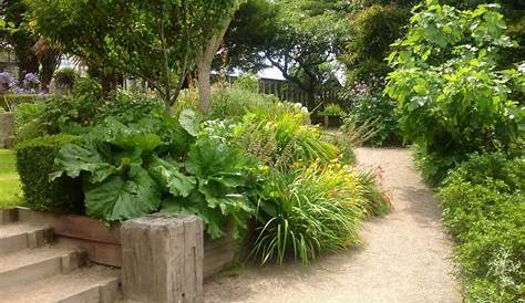 Potager Garden Cornwall 028 And