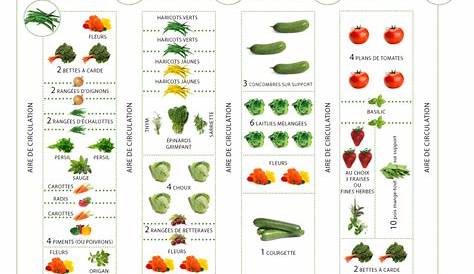 Potager Plans Exemple_plan_jardin_potager_3d_03 Plan Jardin,