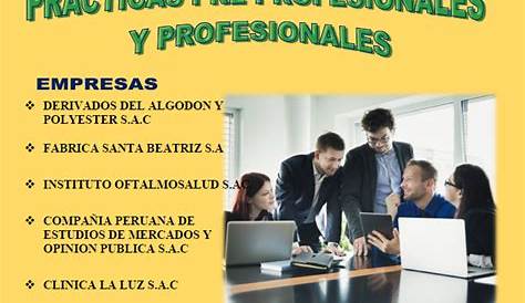 legislación laboral peruana: Manual Practicas pre profesionales y Practicas Profesionales