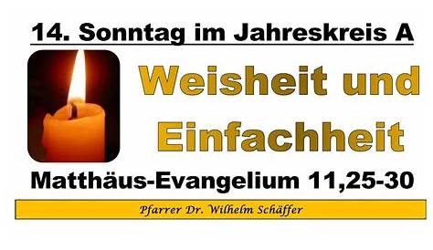 Evangelium (Mt 11, 25–30) und Predigt zum 14. Sonntag im Jahreskreis