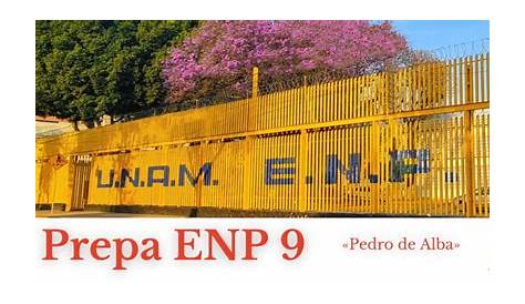 Prepa 9, Any Given Friday - UNAM Global