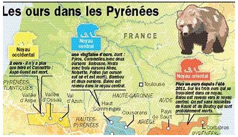 Nouvelle querelle sur un lâcher d'ours dans les Pyrénées - ladepeche.fr