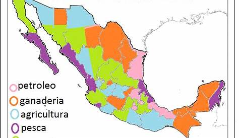 ¿Cuáles son las principales actividades económicas en México? y ¿A qué