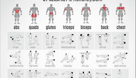 Free Bodyweight Exercise Chart