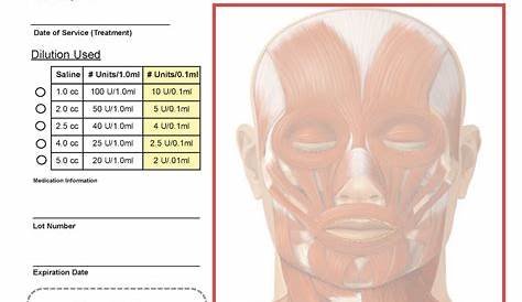 Printable Botox Treatment Record Template Printable Templates Free