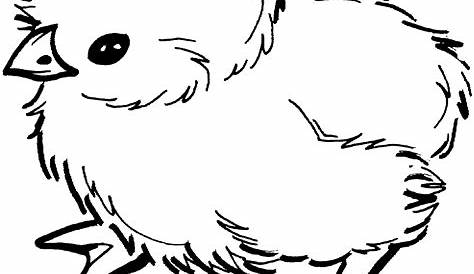 Chick coloring pages Coloring pages to download and print