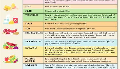 Top 10 Foods Highest in Cholesterol