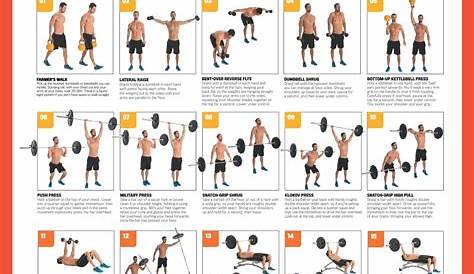 10 Best Free Printable Dumbbell Workout Poster