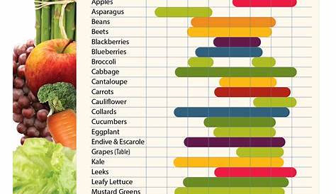 Cook Smarts' Vegetables by Month Chart (Australia) by cooksmarts Seasonal vegetables chart