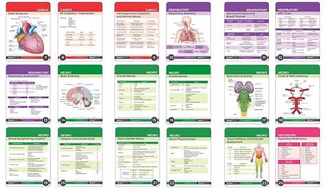 Printable Nursing Cheat Sheets Pdf Customize and Print